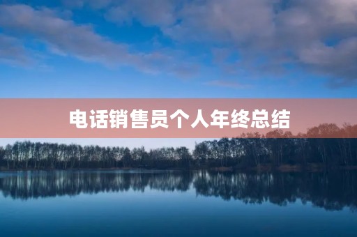 电话销售员个人年终总结