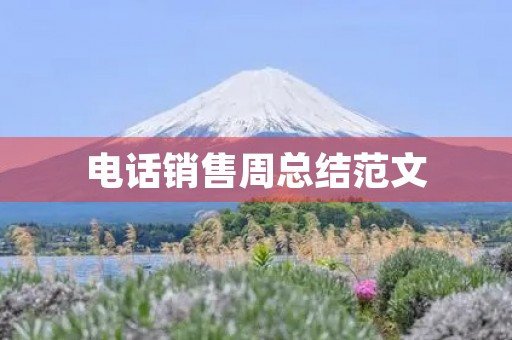 电话销售周总结范文