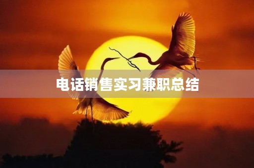 电话销售实习兼职总结