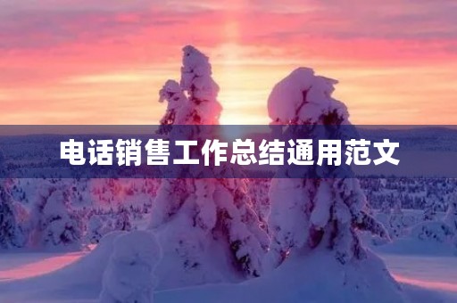 电话销售工作总结通用范文