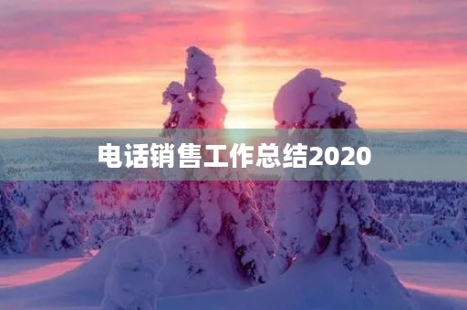 电话销售工作总结2020
