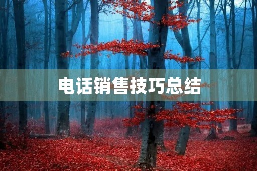 电话销售技巧总结