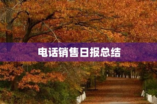 电话销售日报总结
