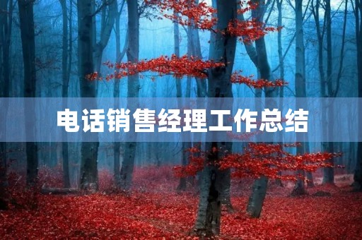 电话销售经理工作总结