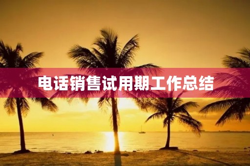 电话销售试用期工作总结