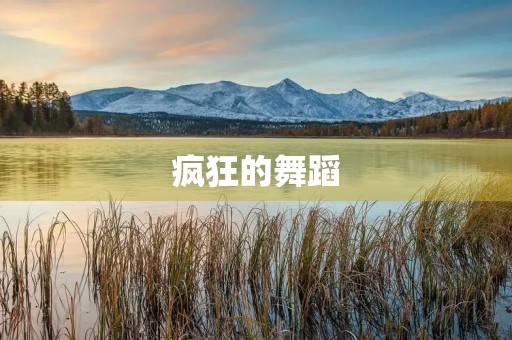 疯狂的舞蹈