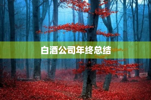 白酒公司年终总结