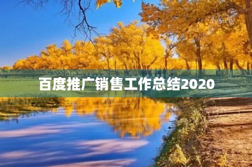 百度推广销售工作总结2020