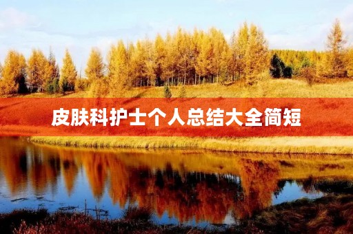 皮肤科护士个人总结大全简短