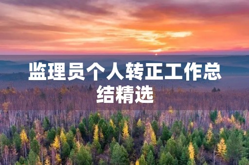 监理员个人转正工作总结精选