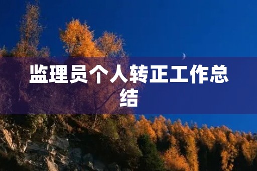 监理员个人转正工作总结