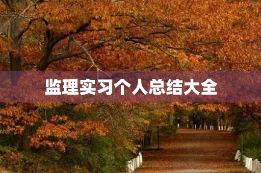 监理实习个人总结大全