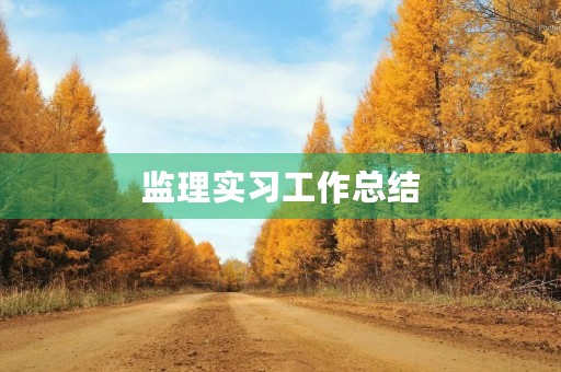监理实习工作总结