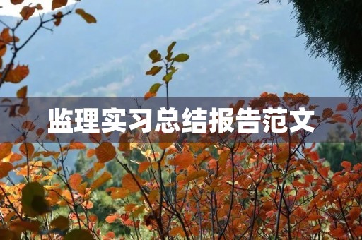 监理实习总结报告范文