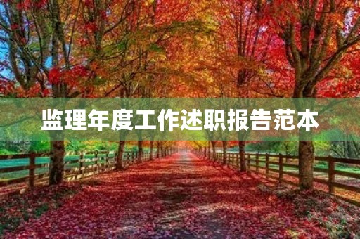 监理年度工作述职报告范本
