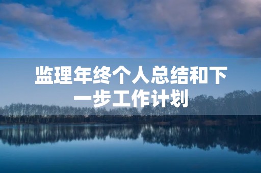 监理年终个人总结和下一步工作计划(10篇)