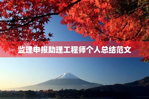 监理申报助理工程师个人总结范文