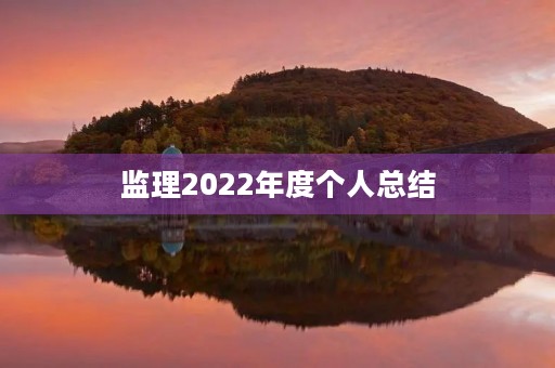 监理2022年度个人总结(10篇)