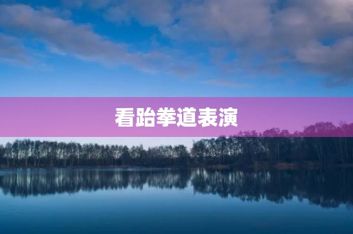看跆拳道表演 看跆拳道表演