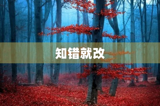 知错就改