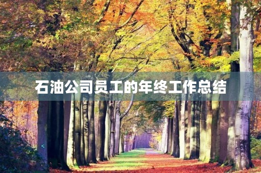 石油公司员工的年终工作总结 石油公司员工的年终工作总结