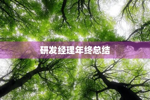 研发经理年终总结 研发经理年终总结