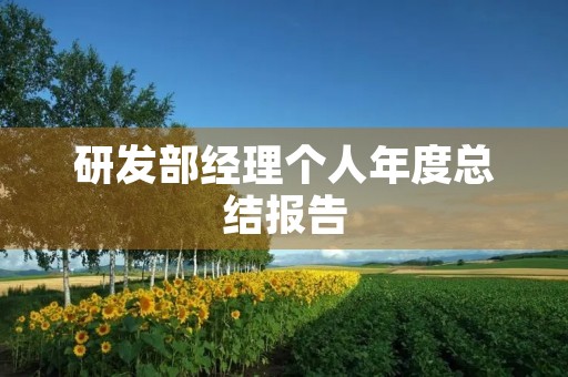 研发部经理个人年度总结报告