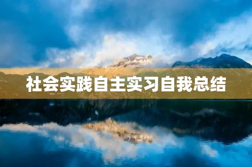 社会实践自主实习自我总结
