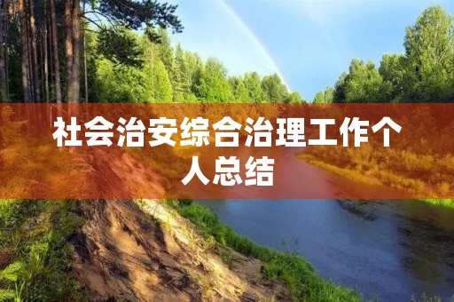 社会治安综合治理工作个人总结