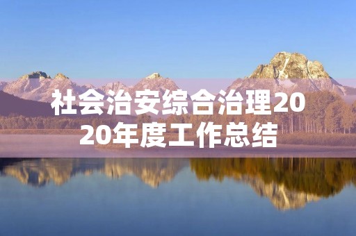 社会治安综合治理2020年度工作总结