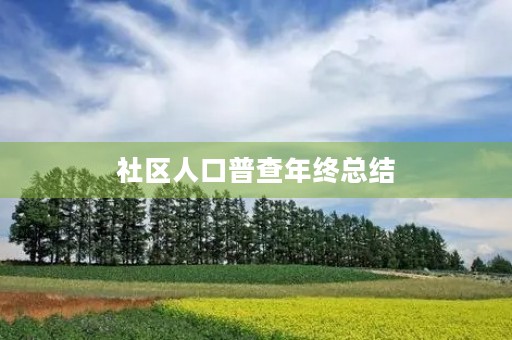 社区人口普查年终总结