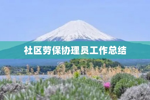 社区劳保协理员工作总结