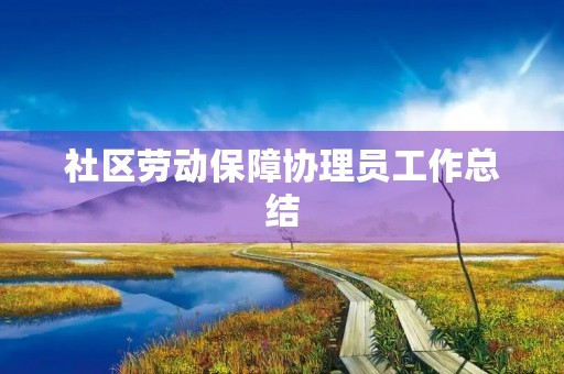 社区劳动保障协理员工作总结