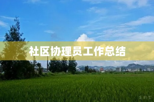 社区协理员工作总结