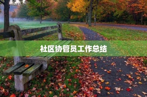 社区协管员工作总结