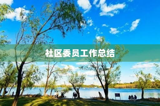 社区委员工作总结