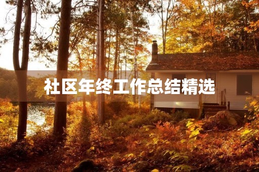 社区年终工作总结精选