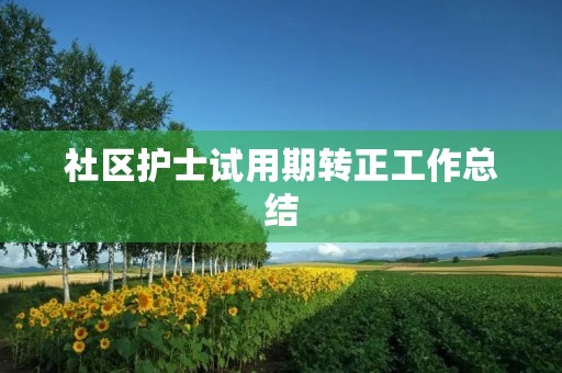 社区护士试用期转正工作总结