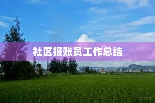 社区报账员工作总结