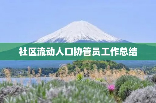 社区流动人口协管员工作总结