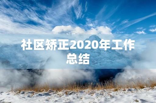 社区矫正2020年工作总结