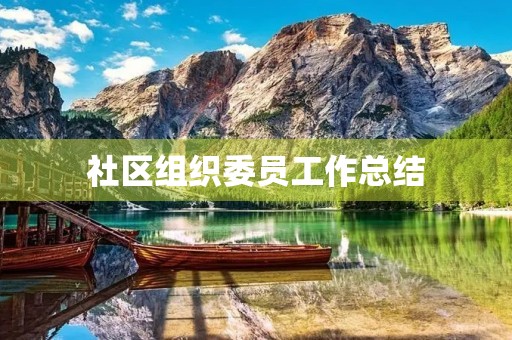 社区组织委员工作总结