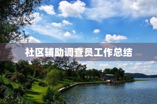 社区辅助调查员工作总结