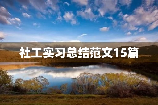 社工实习总结范文15篇