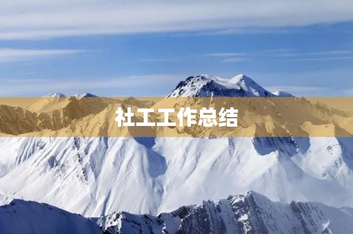 社工工作总结