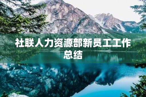 社联人力资源部新员工工作总结