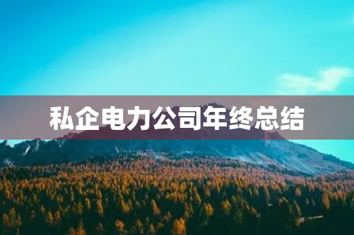 私企电力公司年终总结
