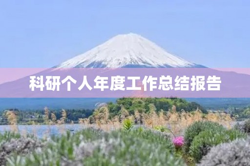 科研个人年度工作总结报告