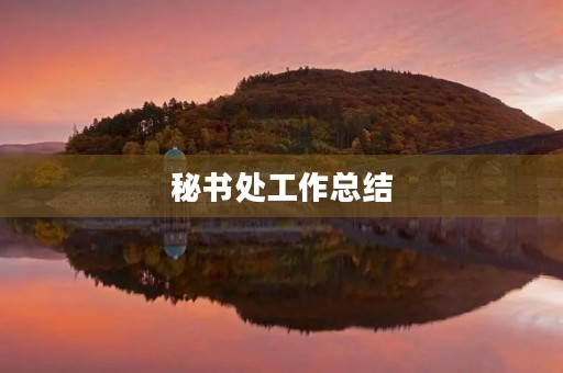 秘书处工作总结