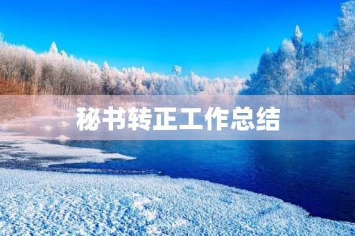 秘书转正工作总结